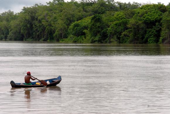 AmazôniaMarcello Casal Jr/Arquivo/Agência Brasil