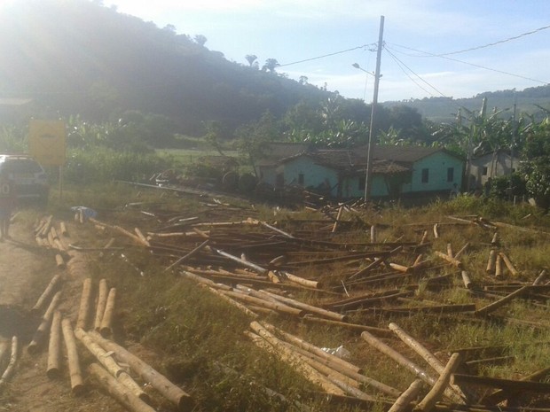 Carga de eucalipto atingiu casa abandonada (Foto: Corpo de Bombeiros/Divulgação)